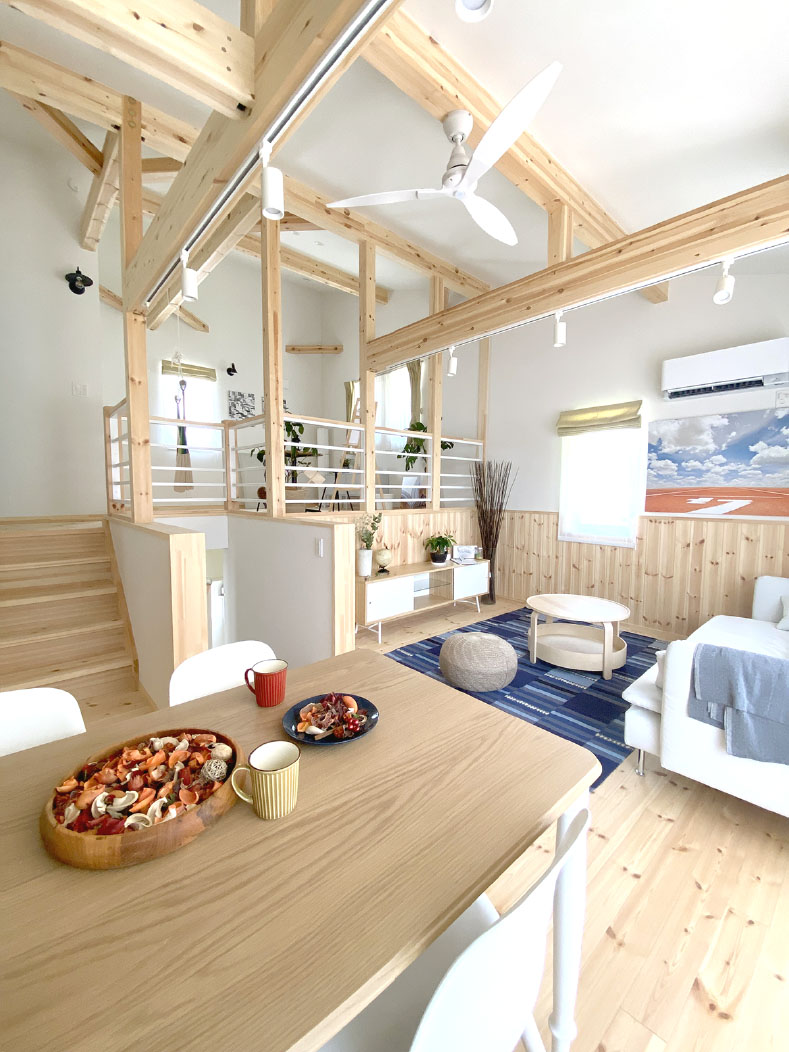 modelhouse